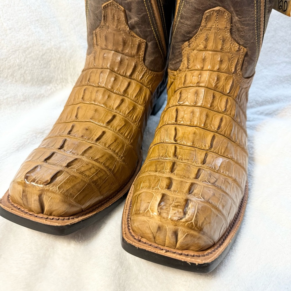 Vaccari | Hornback Caiman Cowboy Boots